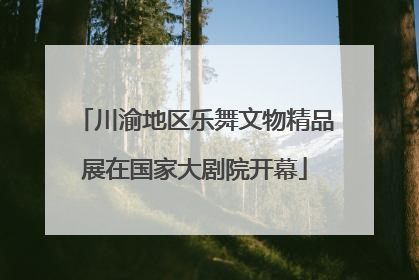 川渝地区乐舞文物精品展在国家大剧院开幕