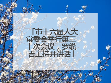 市十六届人大常委会举行第三十次会议，罗缵吉主持并讲话