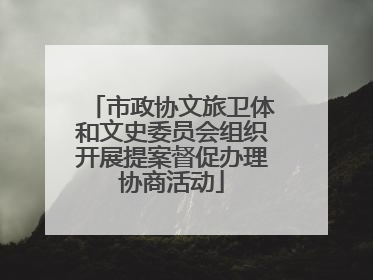 市政协文旅卫体和文史委员会组织开展提案督促办理协商活动