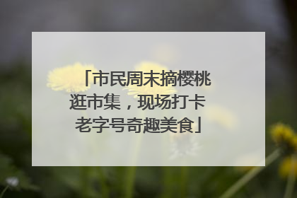 市民周末摘樱桃逛市集，现场打卡老字号奇趣美食