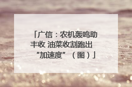 广信：农机轰鸣助丰收 油菜收割跑出“加速度”（图）