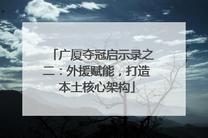 广厦夺冠启示录之二：外援赋能，打造本土核心架构