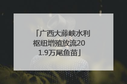 广西大藤峡水利枢纽增殖放流201.9万尾鱼苗