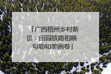 广西梧州乡村新景：田园铁路相映 勾勒和美画卷