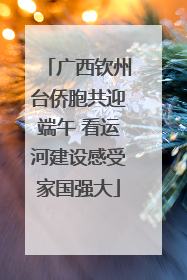 广西钦州台侨胞共迎端午 看运河建设感受家国强大