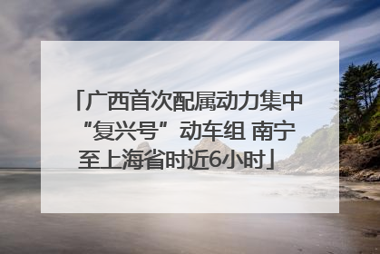 广西首次配属动力集中“复兴号”动车组 南宁至上海省时近6小时