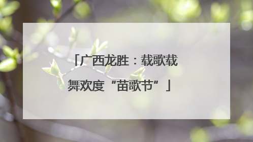 广西龙胜：载歌载舞欢度“苗歌节”