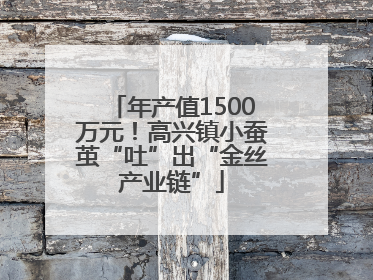 年产值1500万元！高兴镇小蚕茧“吐”出“金丝产业链”