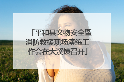 平和县文物安全暨消防救援现场演练工作会在大溪镇召开