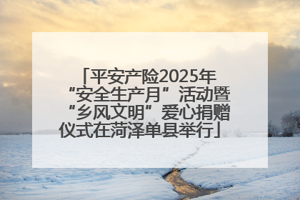 平安产险2025年“安全生产月”活动暨“乡风文明”爱心捐赠仪式在菏泽单县举行