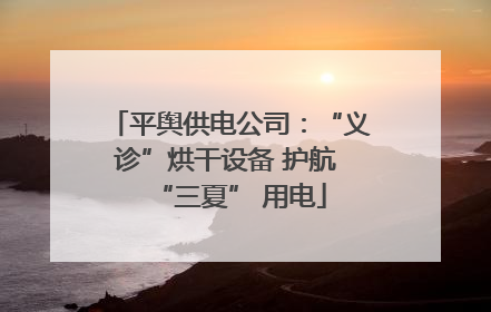 平舆供电公司：“义诊”烘干设备 护航 “三夏” 用电