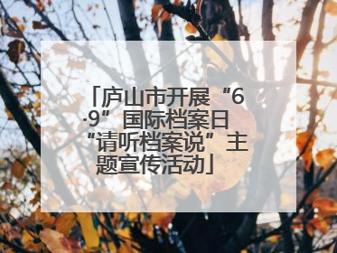 庐山市开展“6·9”国际档案日“请听档案说”主题宣传活动