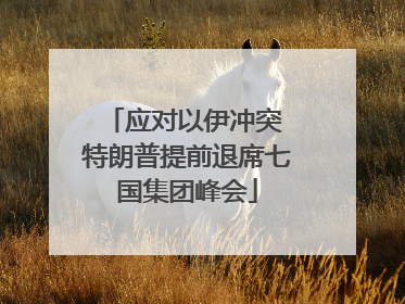 应对以伊冲突 特朗普提前退席七国集团峰会
