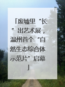 废墟里“长”出艺术展，温州首个“自然生态综合体示范片”启幕