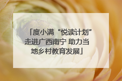 度小满“悦读计划”走进广西南宁 助力当地乡村教育发展