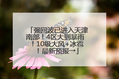 强回波已进入天津南部！4区大到暴雨！10级大风+冰雹！最新预报→