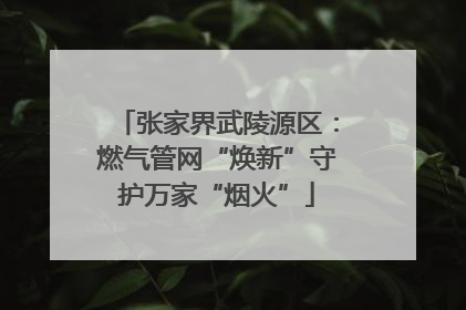 张家界武陵源区：燃气管网“焕新”守护万家“烟火”