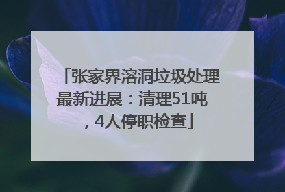 张家界溶洞垃圾处理最新进展：清理51吨，4人停职检查