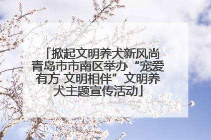 掀起文明养犬新风尚 青岛市市南区举办“宠爱有方 文明相伴”文明养犬主题宣传活动