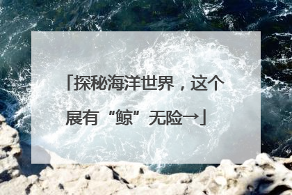 探秘海洋世界，这个展有“鲸”无险→