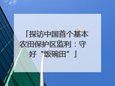 探访中国首个基本农田保护区监利：守好“饭碗田”