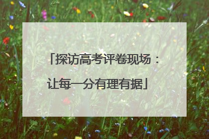 探访高考评卷现场：让每一分有理有据
