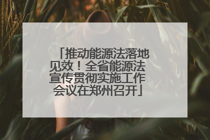 推动能源法落地见效！全省能源法宣传贯彻实施工作会议在郑州召开