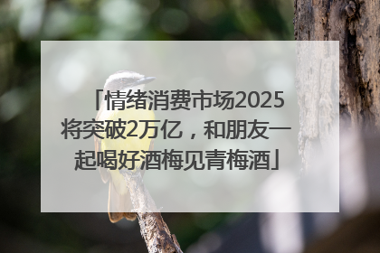 情绪消费市场2025将突破2万亿，和朋友一起喝好酒梅见青梅酒