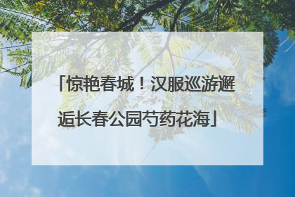 惊艳春城！汉服巡游邂逅长春公园芍药花海