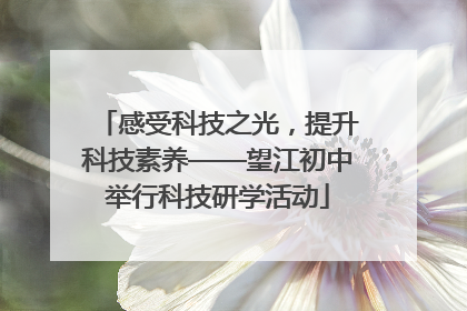 感受科技之光，提升科技素养——望江初中举行科技研学活动