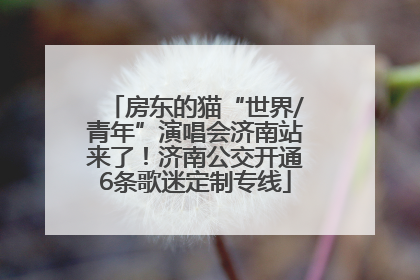 房东的猫“世界/青年”演唱会济南站来了！济南公交开通6条歌迷定制专线