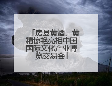房县黄酒、黄精惊艳亮相中国国际文化产业博览交易会