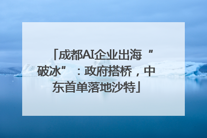 成都AI企业出海“破冰”：政府搭桥，中东首单落地沙特