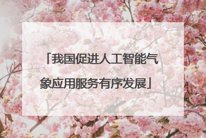 我国促进人工智能气象应用服务有序发展