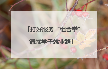 打好服务“组合拳” 铺就学子就业路