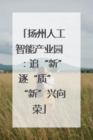 扬州人工智能产业园：追“新”逐“质” “新”兴向荣