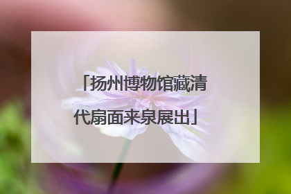 扬州博物馆藏清代扇面来泉展出