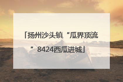 扬州沙头镇“瓜界顶流”8424西瓜进城