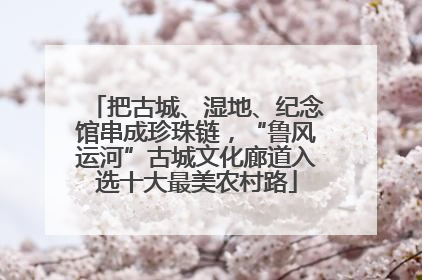把古城、湿地、纪念馆串成珍珠链，“鲁风运河”古城文化廊道入选十大最美农村路