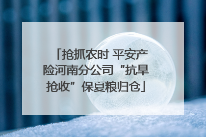 抢抓农时 平安产险河南分公司“抗旱抢收”保夏粮归仓