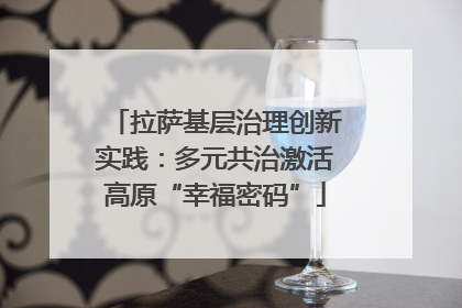 拉萨基层治理创新实践：多元共治激活高原“幸福密码”