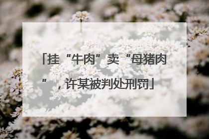 挂“牛肉”卖“母猪肉”，许某被判处刑罚