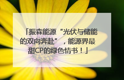 振森能源“光伏与储能的双向奔赴”，能源界最甜CP的绿色情书！