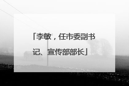 李敏，任市委副书记、宣传部部长