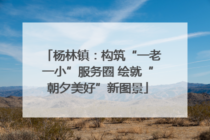 杨林镇：构筑“一老一小”服务圈 绘就“朝夕美好”新图景