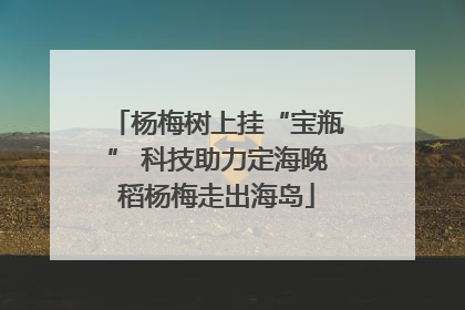 杨梅树上挂“宝瓶” 科技助力定海晚稻杨梅走出海岛