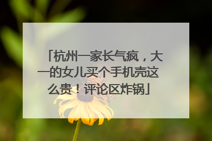 杭州一家长气疯，大一的女儿买个手机壳这么贵！评论区炸锅