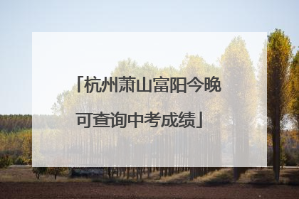 杭州萧山富阳今晚可查询中考成绩