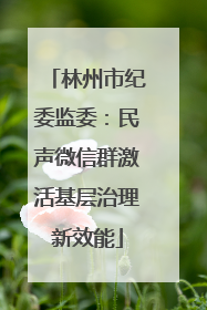 林州市纪委监委：民声微信群激活基层治理新效能
