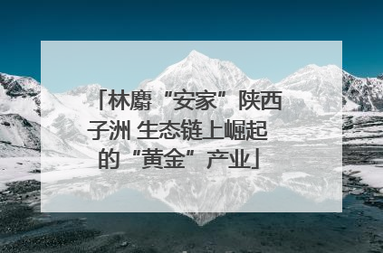 林麝“安家”陕西子洲 生态链上崛起的“黄金”产业